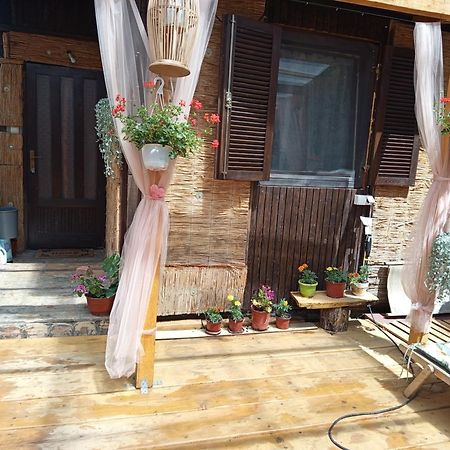 Kucica Za Odmor Lena I Matija Apartment Sremski Karlovci Bagian luar foto